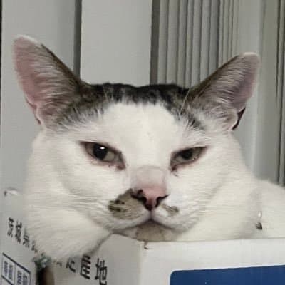 Kapi Profile